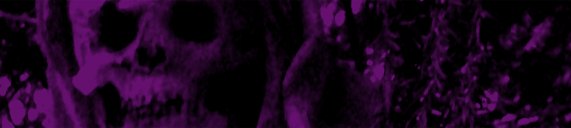Artist banner