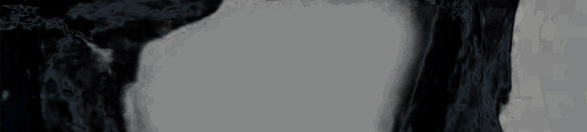 Artist banner