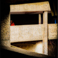 Artist profile photo