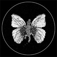 Artist profile photo