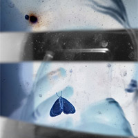 Artist profile photo