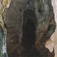 Artist profile photo