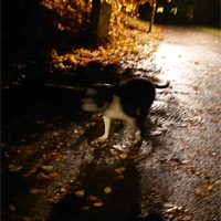 Artist profile photo