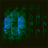 Artist profile photo